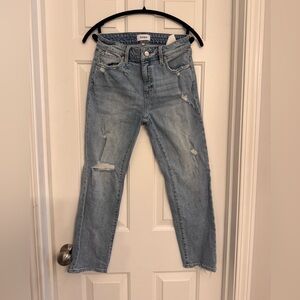 Pistola Faded Blue Ripped Skinny Jeans